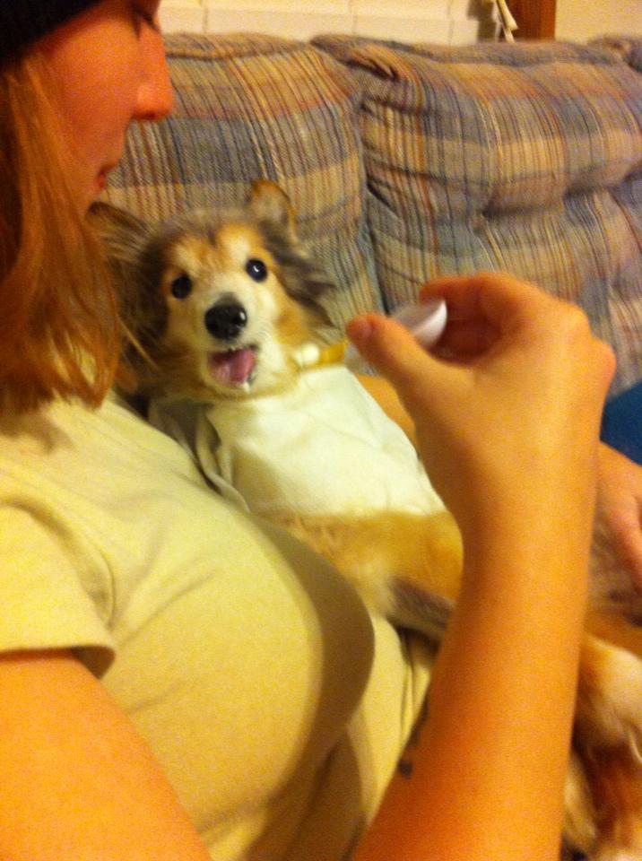 A Puppy In Need Walked Up To A Man At Work. What Followed Shattered My Heart.