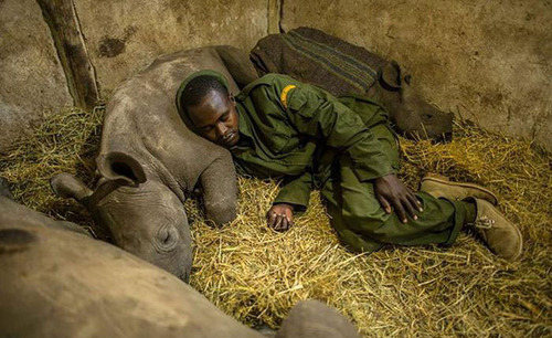keeper at a rhino conservatory in Africa