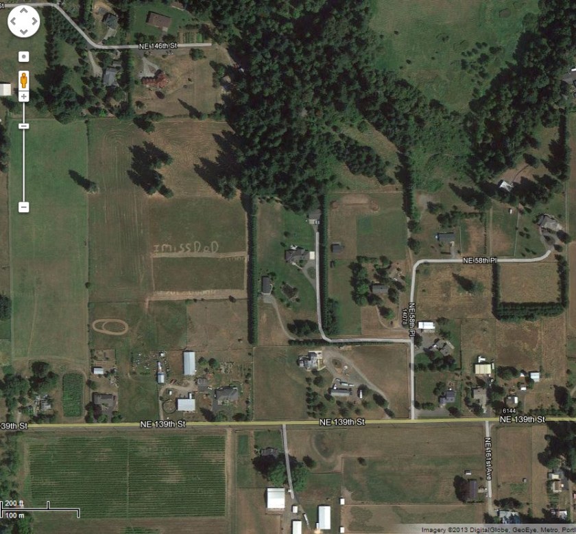 grief written in a field