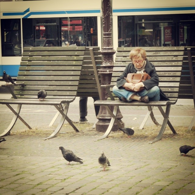 A Quiet Moment sat With the Birds