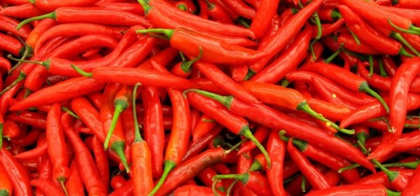 red-hot-chillies