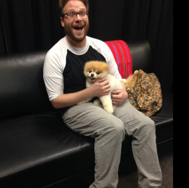 This picture of Seth Rogen holding a puppy