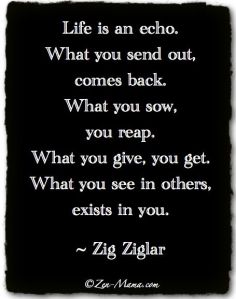 Zig Ziglar Quote