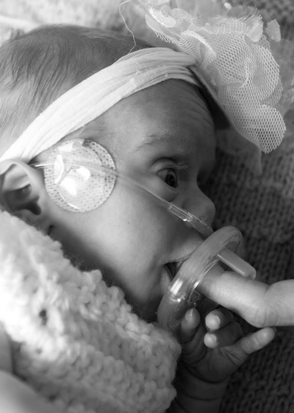 Help us get Angel to Boston