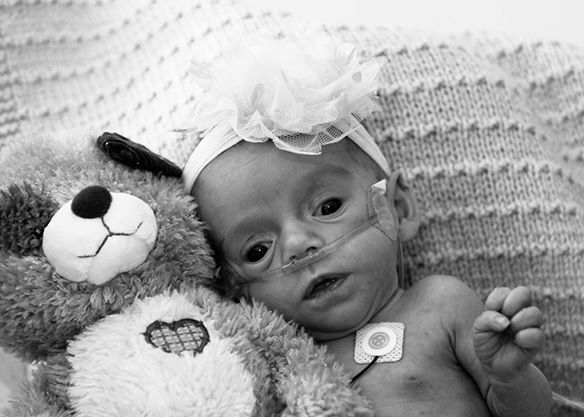 Help us get Angel to Boston