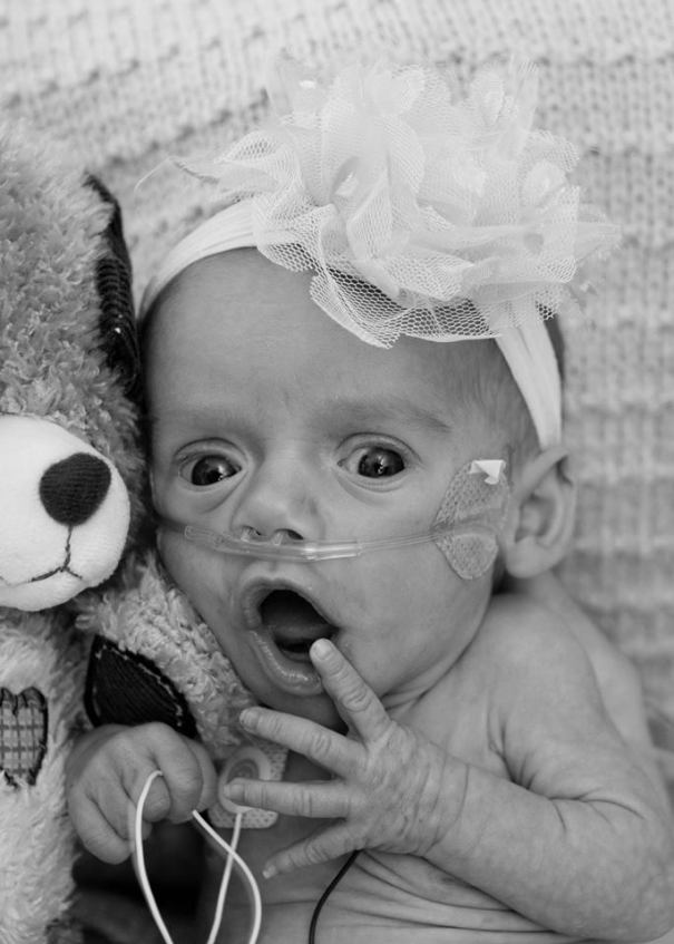 Help us get Angel to Boston