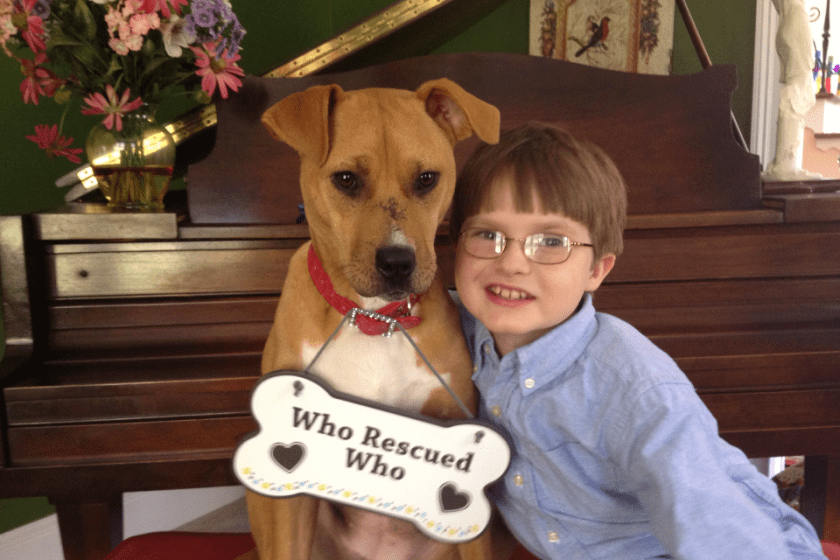 Xena The Warrior Puppy ASPCA Dog of the Year