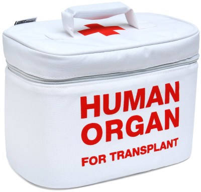organ donation