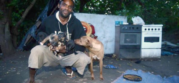 Everton Soares Pereira