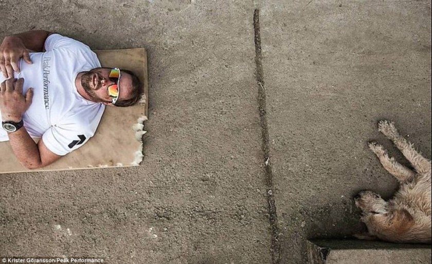 Arthur the Stray Dog