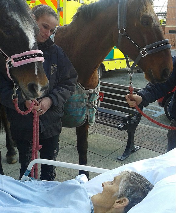 Woman dies after farewell to horse