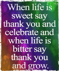 Thank You Quote on a Multicolored Background