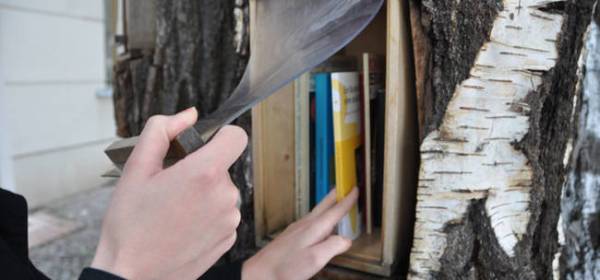 The Berlin Book Forest