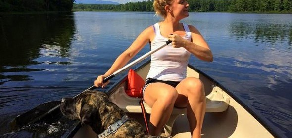 Gizelle English Mastiff