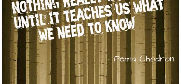 With Words of Wisdom