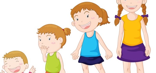 stages of growth - humans