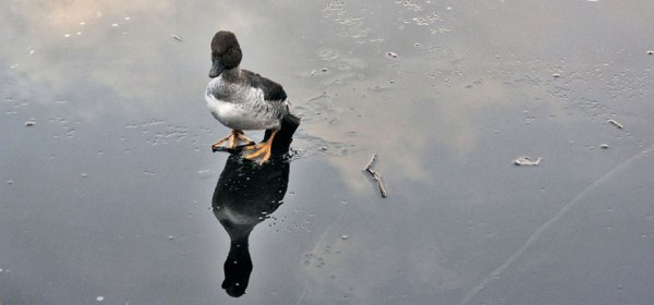 Lars Jørun Langøien