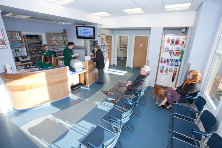 at the vets waiting room