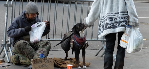 Love Is Class, How Much Do You Have