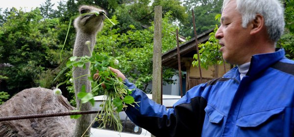 Naoto Matsumura, Guardian of Fukushima’s Animals