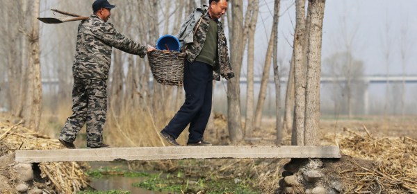 Jia Haixa and Jia Wenqi