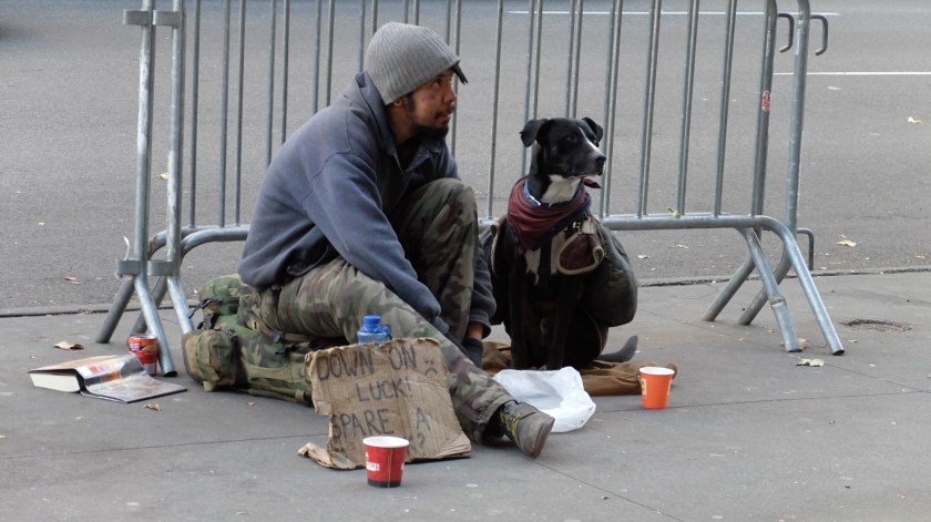 Love Is Class, How Much Do You Have