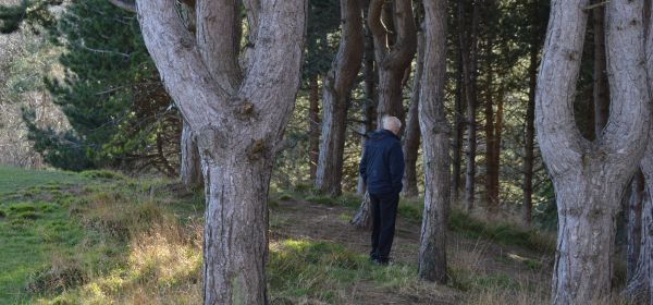 Whilst Taking Photos He Spotted a Man Crying...