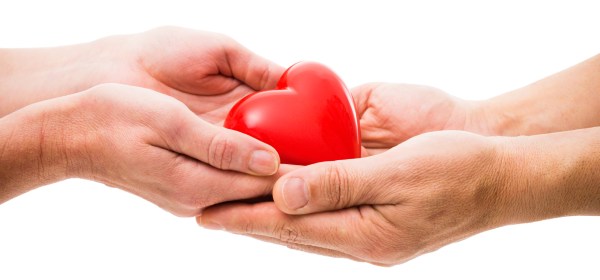 organ donation kindness