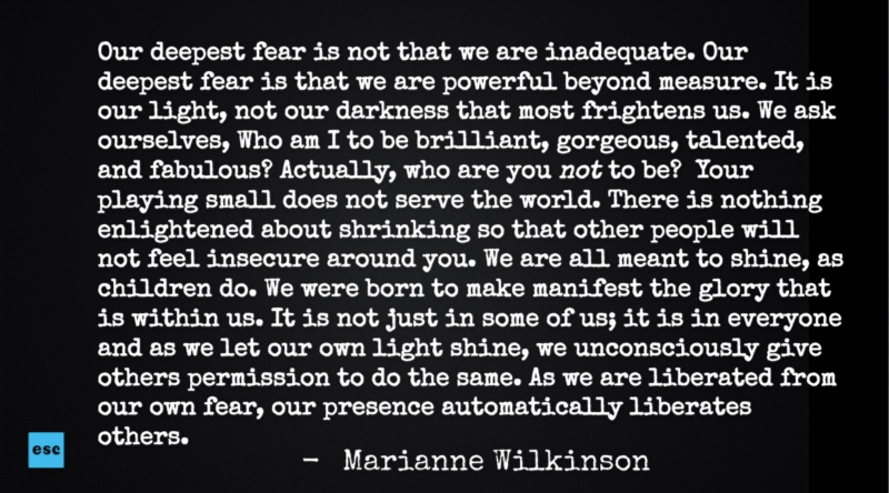 marianne wilkinson quote