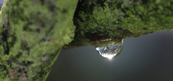 mindfulness wallpaper