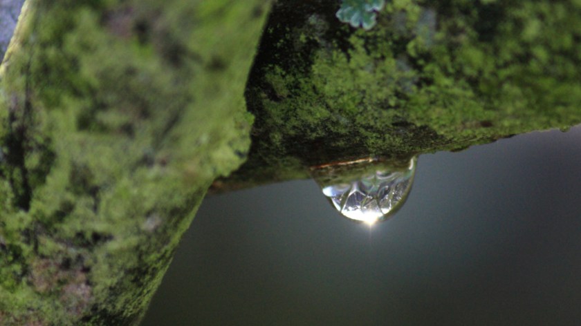 mindfulness wallpaper