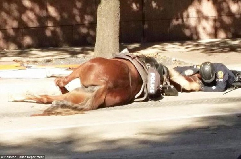 Policeman Comforts His Fallen Partner In Her Final Moments