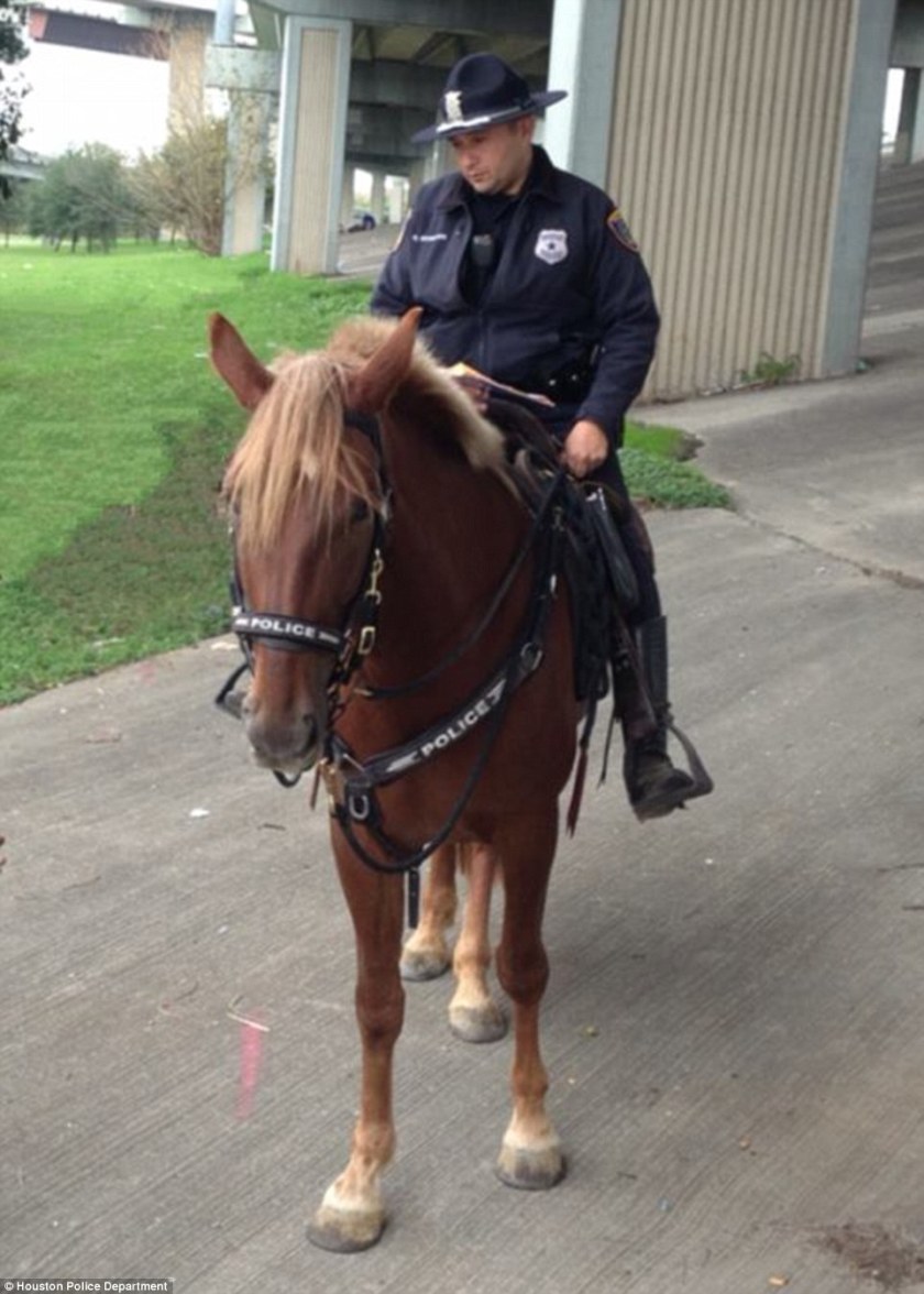 Policeman Comforts His Fallen Partner In Her Final Moments