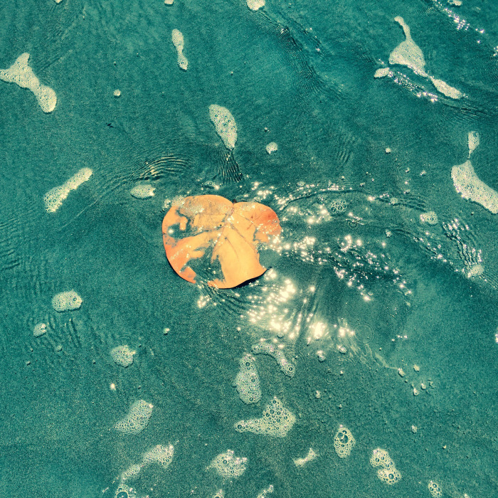 My Old Friend, The Ground - By Kathryn Thomsen