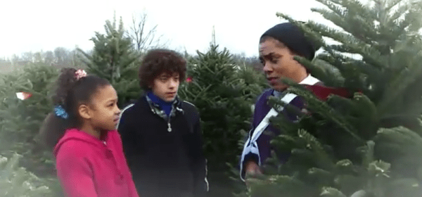 "A Single Mother Can't Afford Buying a Christmas Tree. What Would You Do? "