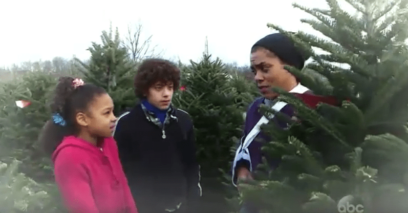 "A Single Mother Can't Afford Buying a Christmas Tree. What Would You Do? "