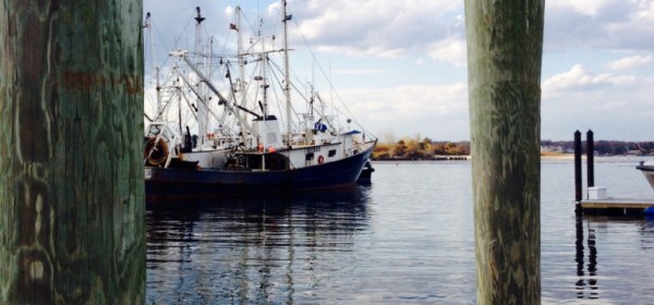 I Am The Passenger - By Juliet Naked