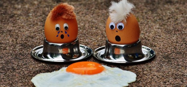 One Sympathetic Fact - By Ben Dolnick