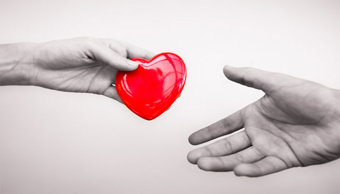 kidney donor wallpaper