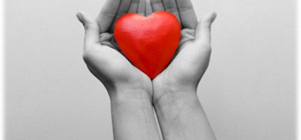 kidney donor wallpaper