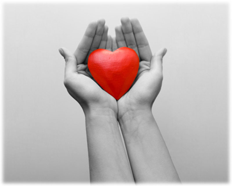 kidney donor wallpaper