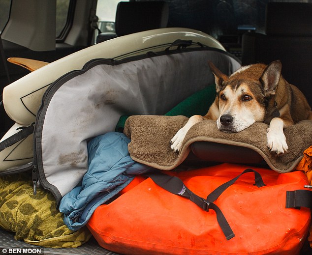 Denali & Ben – A Beautiful Story of Friendship and Loyalty